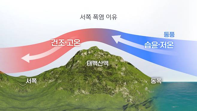 고온건조 동풍 [연합뉴스TV 제작]