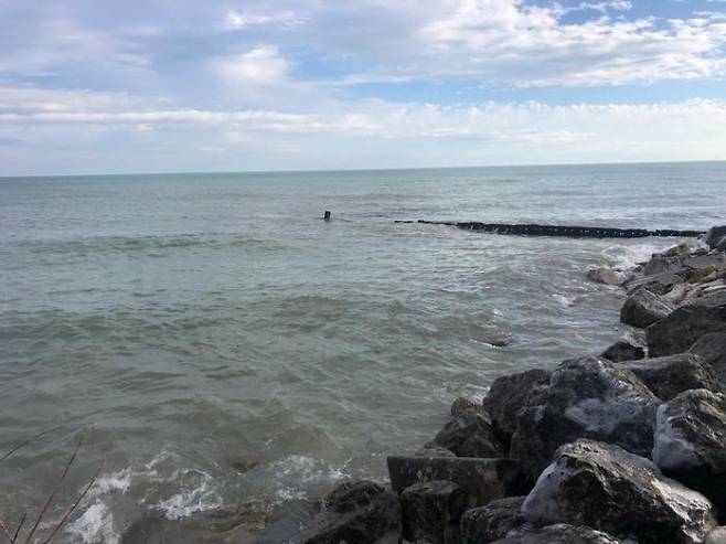 외로움은 모든 사람이 일반적으로 겪을 수 있는 일이지만,  외로움에 대한 주관적 감정이 강할 경우 우울증은 물론 다른 정신적, 신체적 건강에 악영향을 미친다는 연구 결과가 나왔다.  미국 하워드대 의대 제공