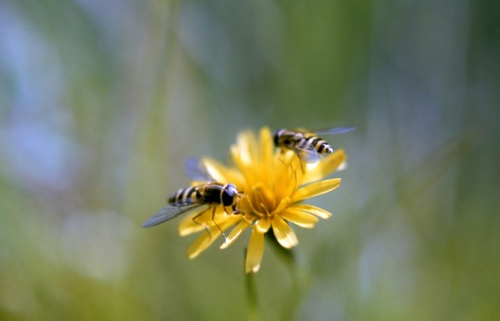 기사 이해를 돕기 위한 자료사진, 연합뉴스