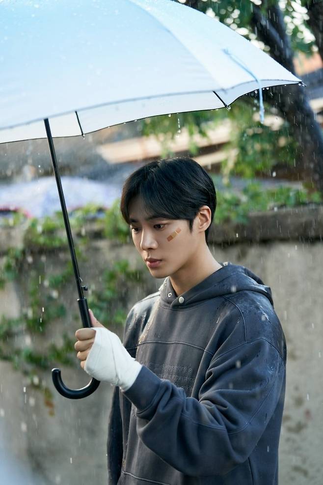 사진｜tvN