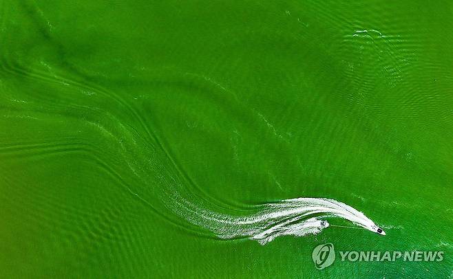 폭염과 녹조도 막지 못한 물놀이 (칠곡=연합뉴스) 윤관식 기자 = 폭염이 계속된 11일 경북 칠곡군 지천지에 녹조가 발생하며 물색이 초록빛으로 변한 가운데 피서객들이 수상 레포츠를 즐기고 있다. 2025.7.11 psik@yna.co.kr