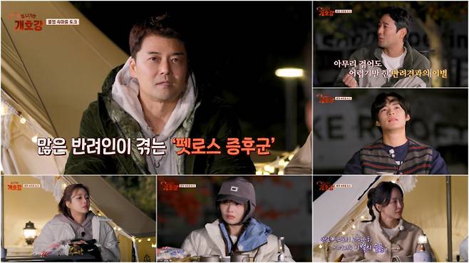 ‘집나가면개호강’ 펫로스 증후군 (사진: JTBC)