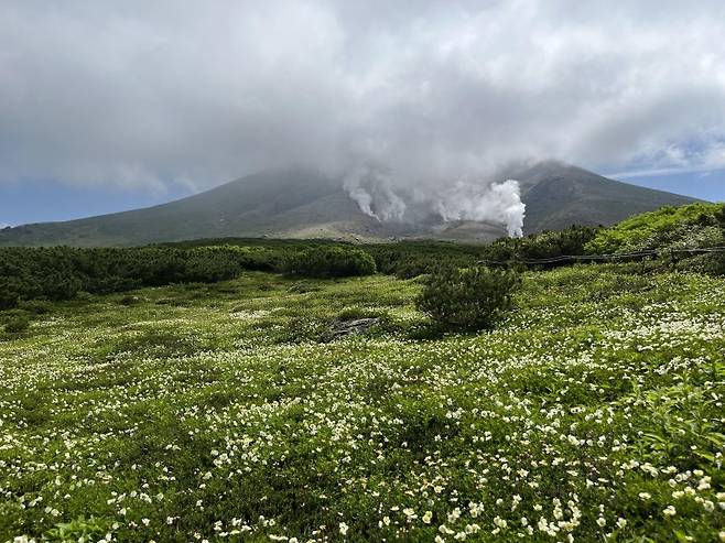 0490f719b08660f520b5c6b011f11a39974628aede621528d4de