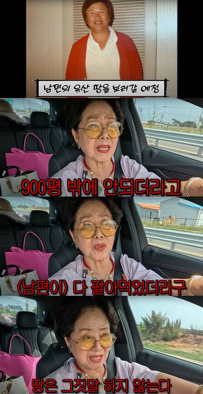 선우용여가 자신의 땅을 소개했다. 유튜브 채널 '순풍 선우용여' 캡처.