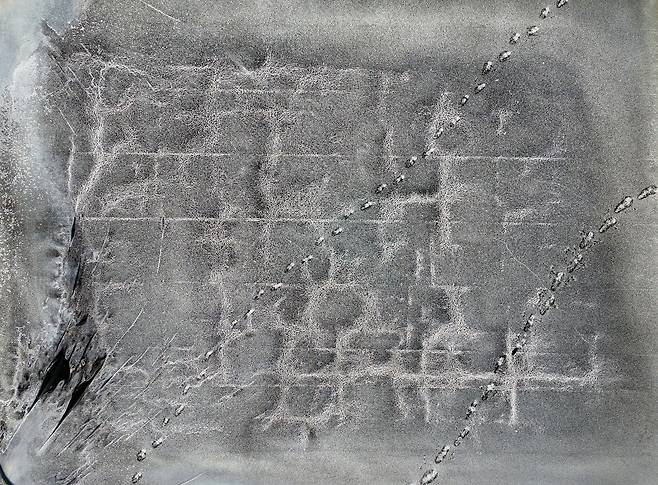 염전 바닥 위에 천일염 결정들이 맺혀 있다. 눈송이처럼 생긴 결정은 바닷물이 태양과 바람을 견디며 일곱 날 동안 빚어낸 작품이다.