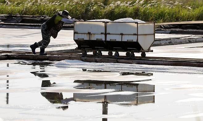 염부 전동길 씨가 수확한 소금을 소금창고로 옮기고 있다.