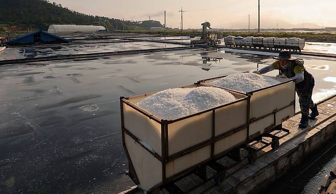 염부 전동길 씨가 수확한 소금을 소금창고로 옮기고 있다.