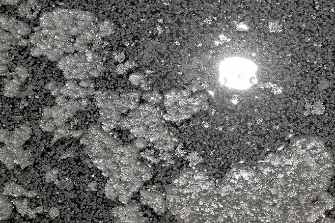 염전 바닥 위에 천일염 결정들이 맺혀 있다. 눈송이처럼 생긴 결정은 바닷물이 태양과 바람을 견디며 일곱 날 동안 빚어낸 작품이다.