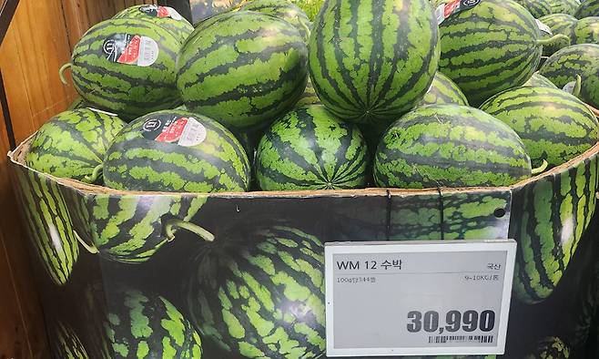 12일 롯데마트 광교점에 진열된 3만원이 넘는 수박 모습. 김기환 기자