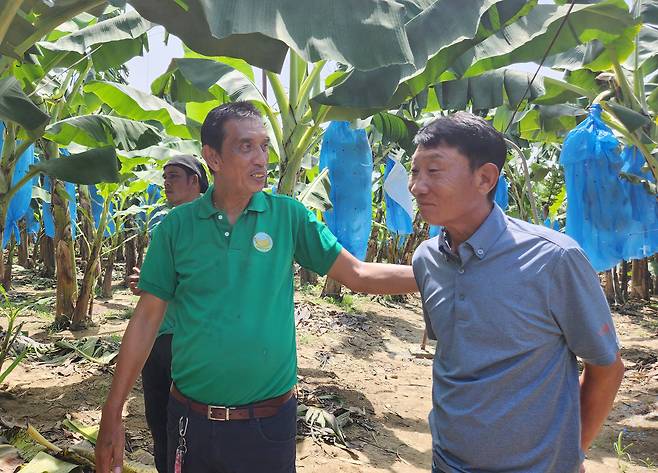 고범림(오른쪽) 대표가 현지 농장 관리 책임자로부터 바나나 성장 상태를 보고 받고 있다. 크리던스 코퍼레이션 제공