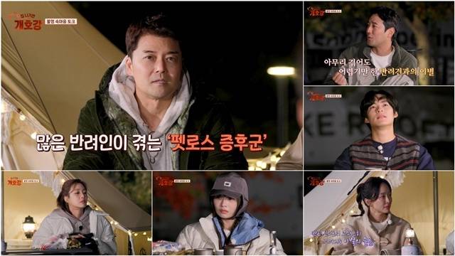 ‘집 나가면 개호강’. 사진lJTBC