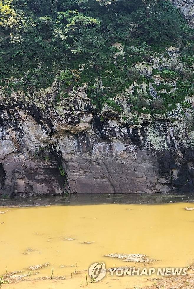 물에 잠긴 반구대 암각화 2023년 8월 제6호 태풍 카눈이 지난 뒤 간 울산 울주군 언양읍 반구대 암각화가 절반 가량 물에 잠겨 있는 모습 [연합뉴스 자료사진]