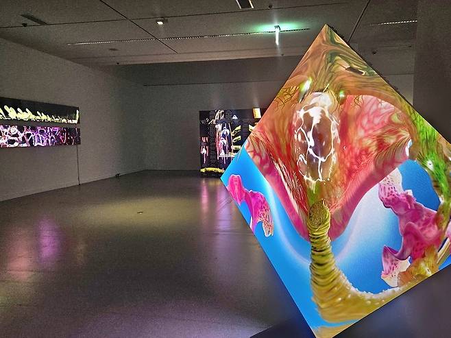 ▲&nbsp;국립현대미술관 과천관 전시 '젊은 모색 2025: 지금, 여기' 전경.