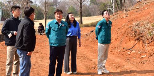 ◇영월군은 내년 준공을 목표로 모노레일과 전망타워, 보도교 등 체험형 관광 인프라를 구축하는 ‘봉래산 명소화 프로젝트’를 진행하고 있다.