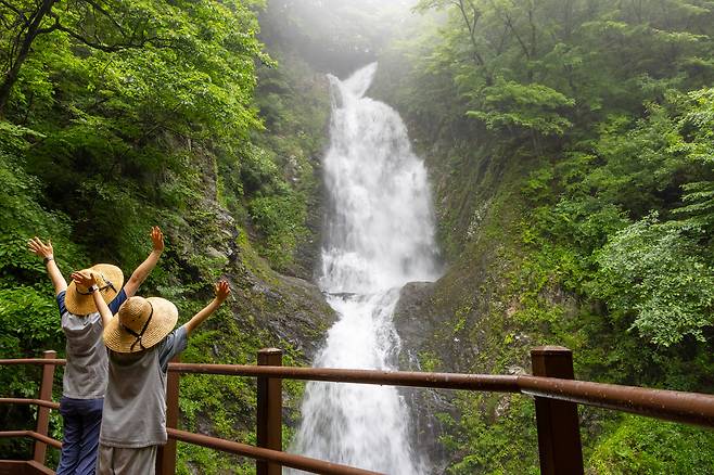 헐렁한 법복을 입고 전통차를 배우며 티소믈리에 체험을 해보는 경남 하동 '쌍계사'의 템플스테이. / 한국불교문화사업단