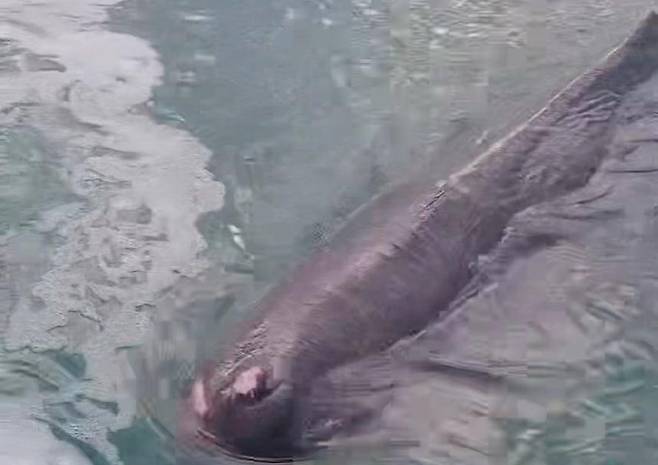 사진=울산해양경찰서 제공