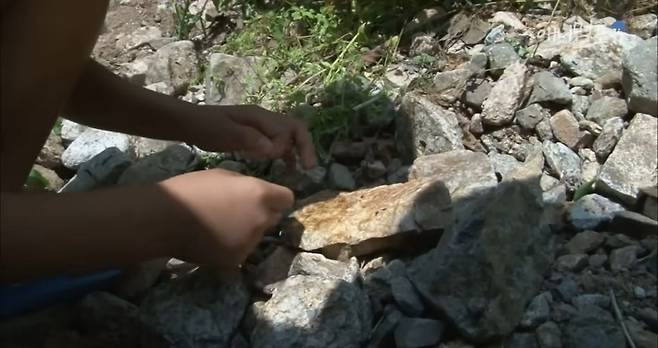 산골소년이 인간극장 제작진 반겨주는 법.jpg