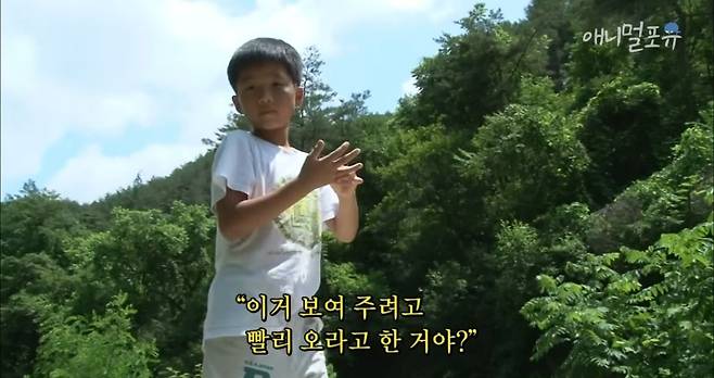 산골소년이 인간극장 제작진 반겨주는 법.jpg