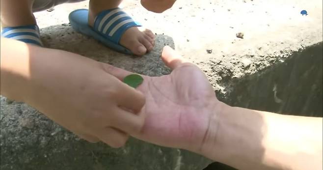 산골소년이 인간극장 제작진 반겨주는 법.jpg