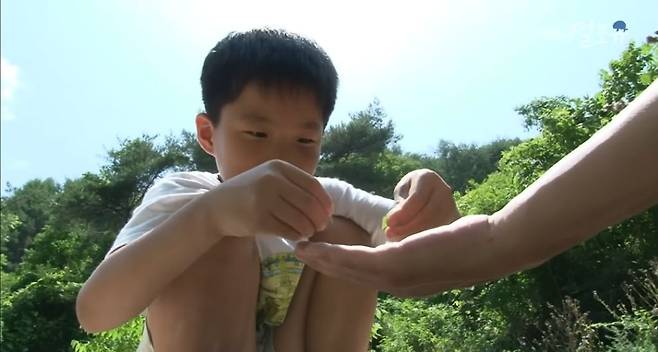 산골소년이 인간극장 제작진 반겨주는 법.jpg