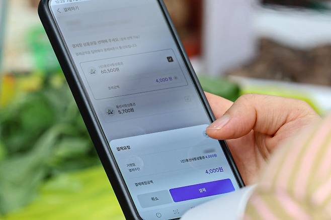 사진은 지난 7일 서울 시내 전통시장에서 한 시민이 지역화폐로 물품을 구매하는 모습. 뉴시스
