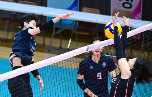 한국도로공사 김세인./KOVO