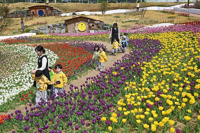 세천늪테마정원 내 조성된 장미공원 전경.[달성군 제공]