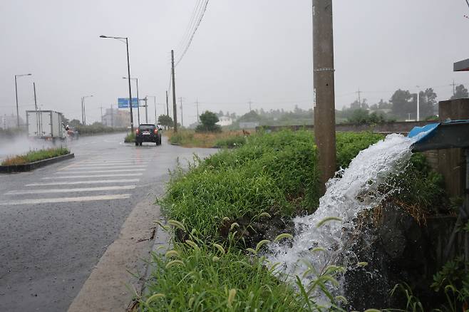 13일 많은 비가 내리는 제주시 조천읍의 시설 하우스 빗물받이에서 빗물이 흘러나오고 있다. 연합뉴스