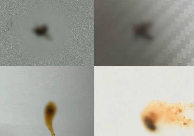 배달 음식에서 벌레가 나왔다고 속여 305차례에 걸쳐 770만원이 넘는 음식값을 환불 받은 20대 대학생이 실형을 선고 받았다. YTN 뉴스 캡처