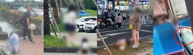 중국인 관광객의 기초질서 위반 현장. 소셜미디어 캡처