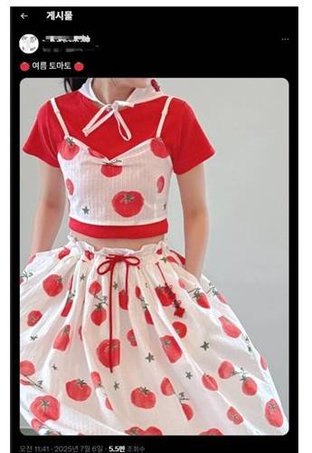 토마토 원피스 [엑스 캡처. 재판매 및 DB 금지]