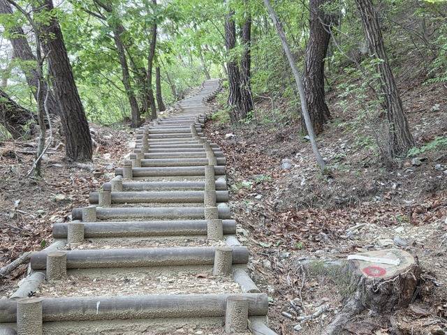 명활산성 둘레길.
