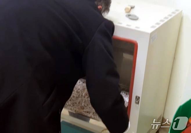 물이 고였던 유골함에서 수습된 국가유공자의 유골을 실험실용 건조기를 통해서 건조하는 모습(국가보훈부노조 제공)