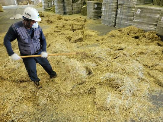 유정TMR 직원이 사료 원료 투입 전 이물질 혼입 여부를 확인하고 있다. 유정TMR 제공