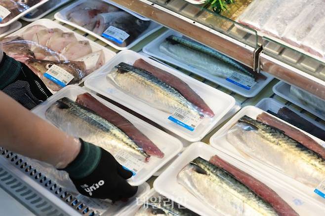 서울 서초구 농협유통 하나로마트 양재점에서 고등어가 판매되고 있다.ⓒ뉴시스