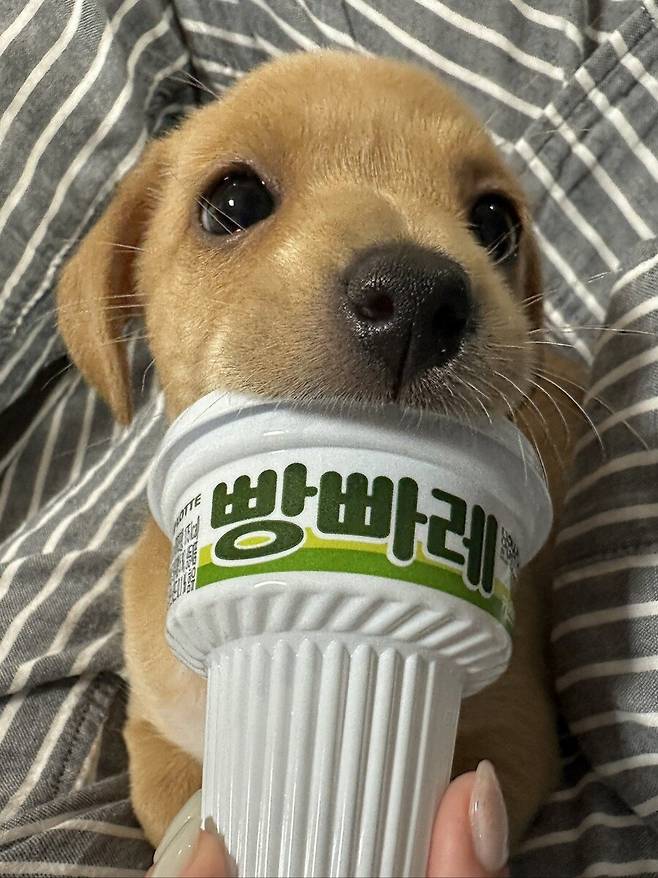 Internet_20250714_075854_1.jpeg 최근에 본 가장 기분 좋은 짤 보여줌 .jpg