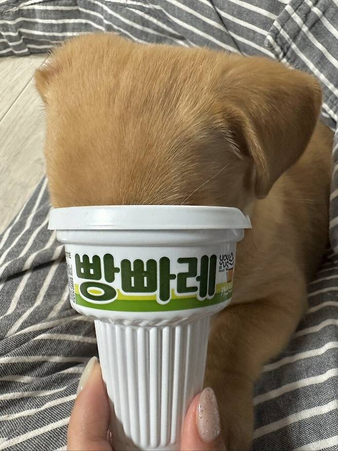 Internet_20250714_075854_2.jpeg 최근에 본 가장 기분 좋은 짤 보여줌 .jpg