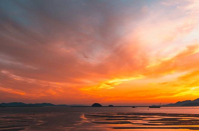 디지털 사진갤에 올라온 노을 사진