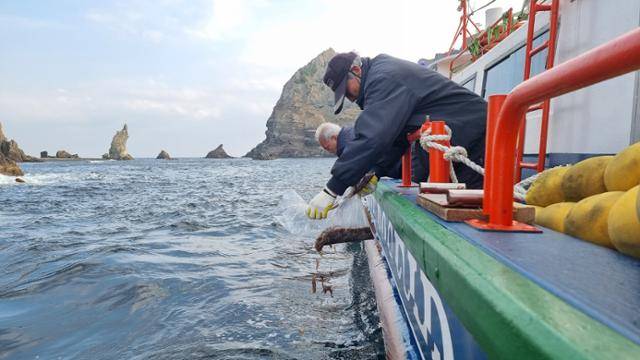 경북 울릉군 어민들이 지난 2022년 12월 10일 마을 어장에 어린 해삼을 방류하고 있다. 한국수산자원공단 제공