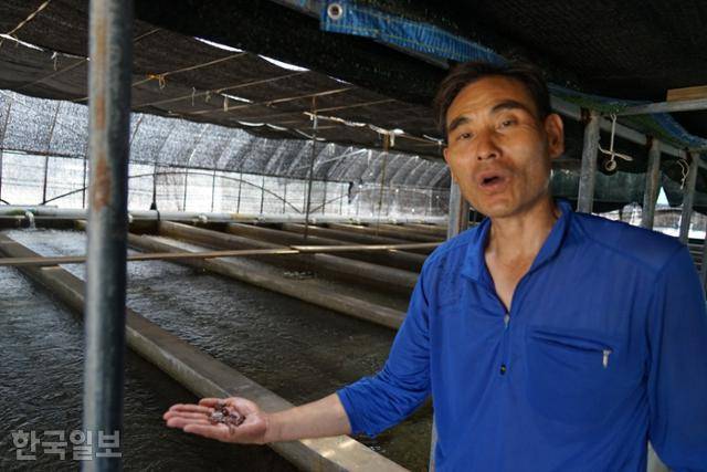 경북 울릉군에 어린 해삼 1순위 납품업체로 선정됐다가 탈락한 미래수산 대표 김태호(55)씨가 1일 경북 영덕군 병곡면 해삼 양식장에서 검수 절차에 이의를 제기하고 있다. 영덕=김정혜 기자