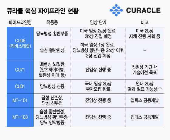 큐라클 핵심 파이프라인 현황/디자인=윤선정