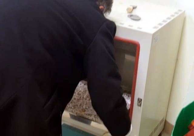 물이 고였던 유골함에서 수습된 국가유공자의 유골을 실험실용 건조기를 통해서 건조하는 모습. 국가보훈부노조