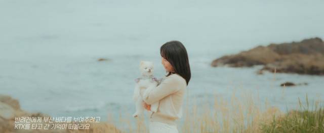 14일 부산시가 공개한 ‘우리 부산에 가자’의 뮤직비디오 여행자 사연 영상. 사진제공=부산시