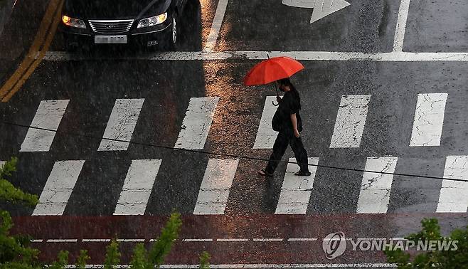 쏟아지는 비를 피해 (대전=연합뉴스) 김준범 기자 = 14일 오후 대전시 서구 둔산동 보라매공원을 지나는 시민들이 비를 피하기 위해 우산을 쓰고 있다. 2025.7.14 psykims@yna.co.kr
