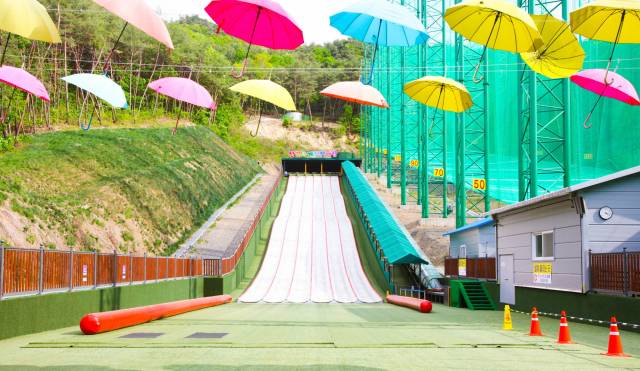 단양사계절썰매장이 오는 18일~8월 17일, 한 달간 야간 운영에 들어간다. 단양군 제공