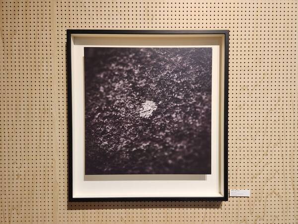 배길효 작 '지의'. /류민기 기자