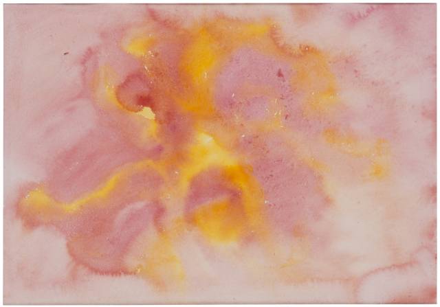 힐마 아프 클린트의 '꽃과 나무를 관찰하며' 중 '장미 열매에 대한 관'(1922). 힐마 아프 클린트 재단 제공.