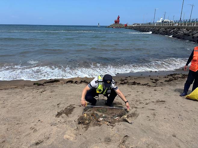 사진 제주해양경찰서 제공