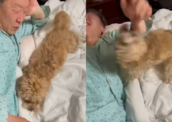 (사진=이재명 유튜브 갈무리)