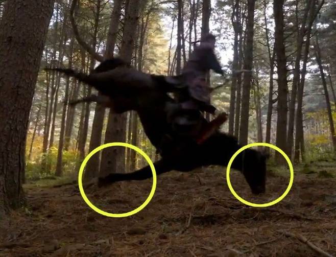 KBS 드라마 '태종 이방원' 7화에서 이성계의 낙마 장면. 발에 줄이 묶여 강제로 넘어진 까미가 머리부터 고꾸라지고 있다. '태종 이방원' 화면캡처